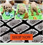 Stainless Steel Skimmer Solid Spider Strainer Ladle Stainless Steel Kitchen Utensil Tool French Fries Fish Frying Utensil Smart Nest Gadgets