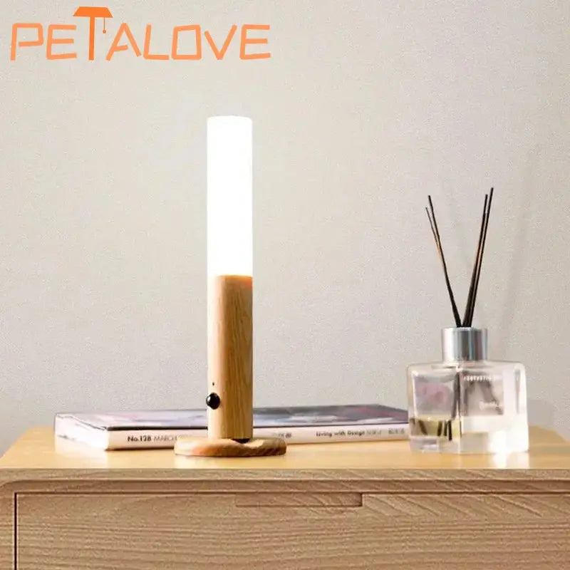 Intelligent Human Body Induction Night Light LED - Smart Nest Gadgets